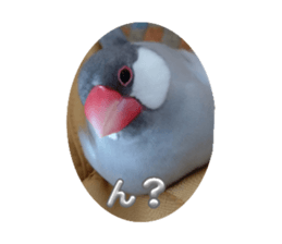 652554562