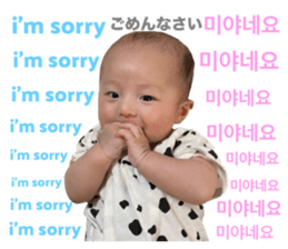 652579342