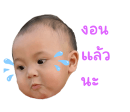 652594007