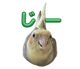 652602238