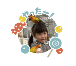652615356