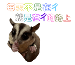 652644524
