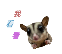 652644525