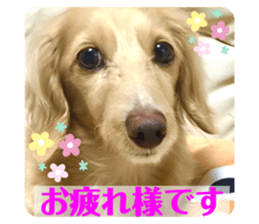 652645449