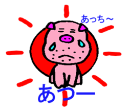 6526557