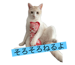652669439