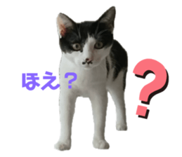 652669440