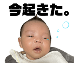 652683039