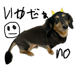 652737938