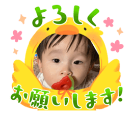 652738207