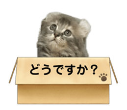 652741139