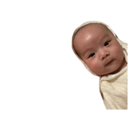 652743365