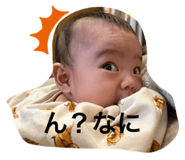 652753234