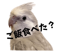 652755697