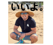 652755816