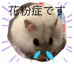 652775677