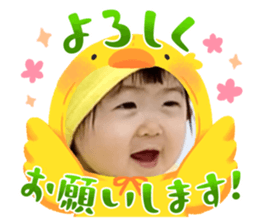 652783335