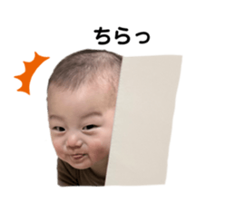 652797223