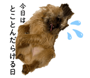 652804115