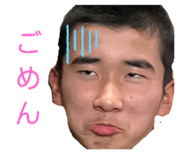 652804508