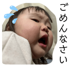 652804851