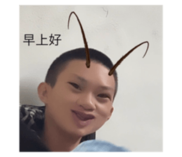 652813160