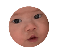 652814066