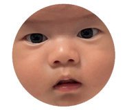 652814067