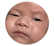652814079