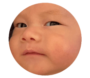 652814081
