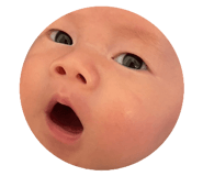 652814082