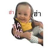 652816489