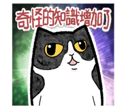 652820626