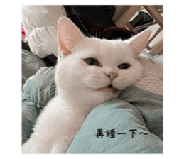 652823184