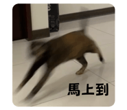 652827230