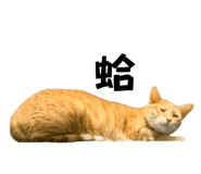 652827233