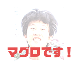 652831331