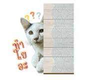 652838511