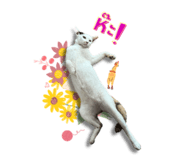 652838518