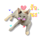 652838521