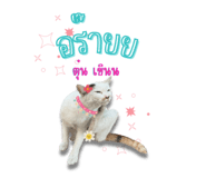 652838523