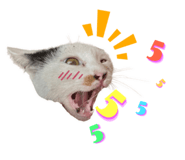 652838524