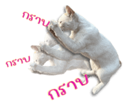 652838526