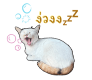 652838530