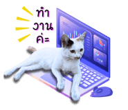 652838534