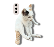 652838536