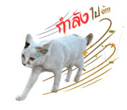 652838544