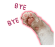 652838545