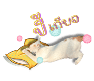 652838546