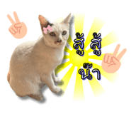 652838548